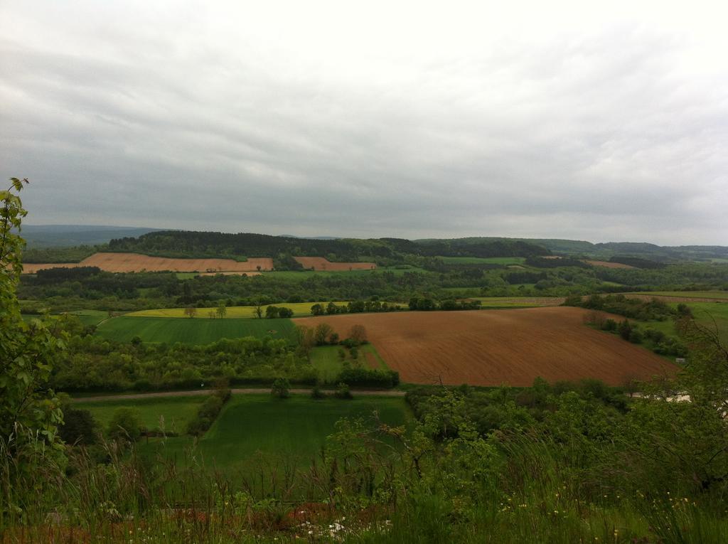 Le Relais Du Morvan Vézelay Екстериор снимка